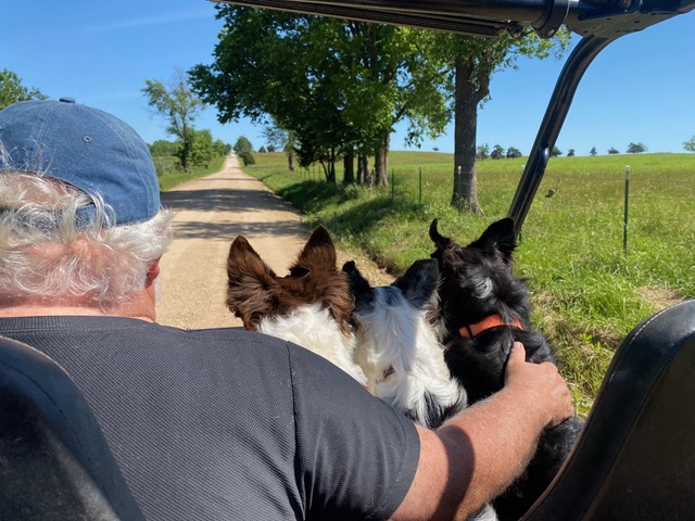Planning for the Unexpected: Insurance Essentials for Farm Families